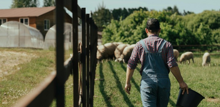 Aposentadoria por Idade do Pequeno Produtor Rural: Guia Completo para Garantir Seu Direito