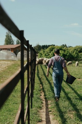 Aposentadoria por Idade do Pequeno Produtor Rural: Guia Completo para Garantir Seu Direito